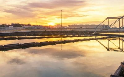 Phosphorus Removal from Wastewater: Pinpointing Your Plant’s Approach